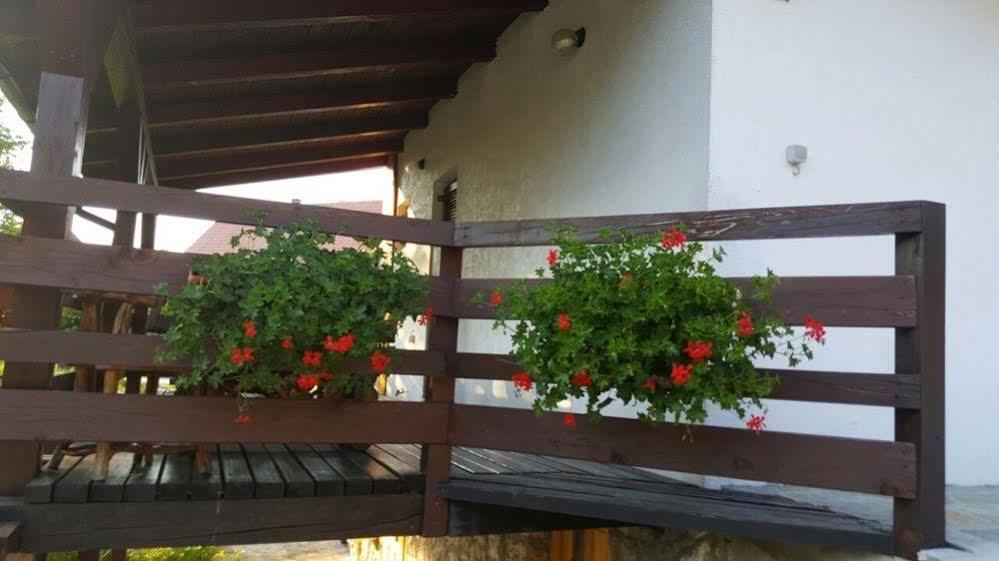 Guest House Plitvice Waterfall Plitvicka Jezera Exterior photo